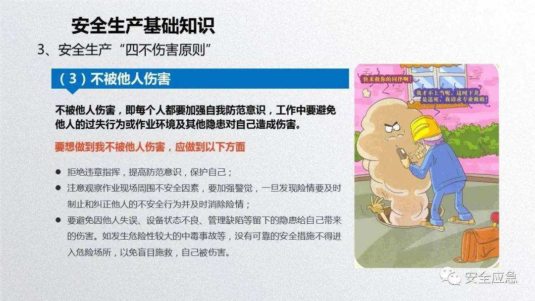 2023年安全培训必备10部警示片及新员工三级安全培训课件