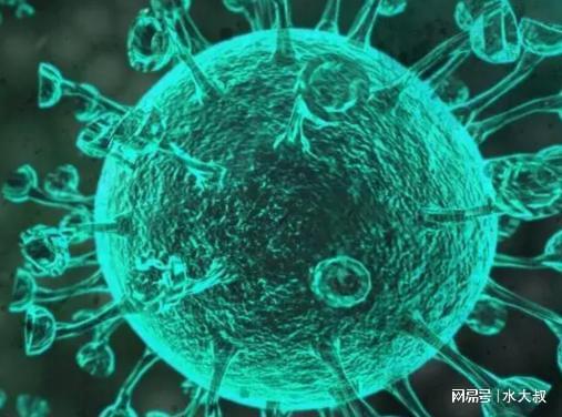 新冠放开后有人不再防护，病毒还在，未来有4个结局要注意