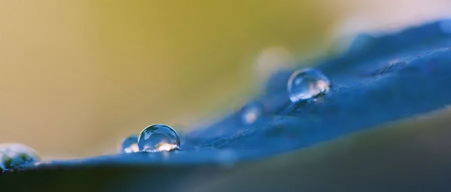 大学生恋爱观探讨:遇见爱情珍惜,没遇见就充实自己