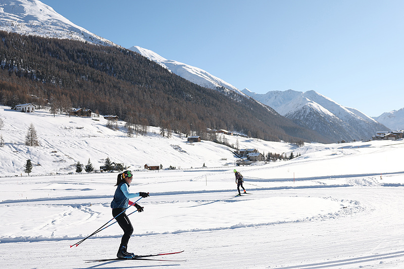 米兰冬奥会奖牌榜形势受关注,挪威或延续冬奥优势