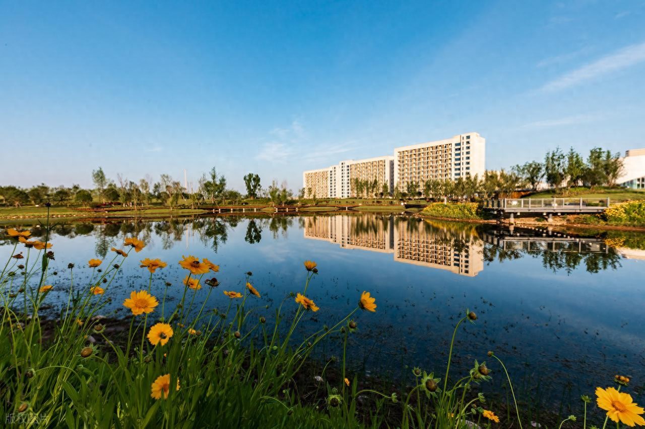 物理化学政治选科组合分析,适合哪些学生及对考研考公有何帮助?