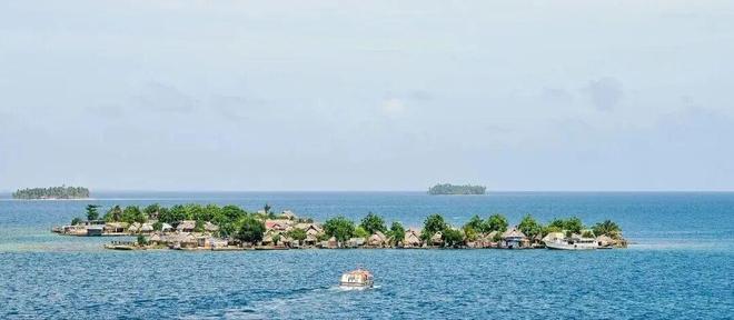 高考地理中岛屿考点：自然地理特征及生物资源全解析