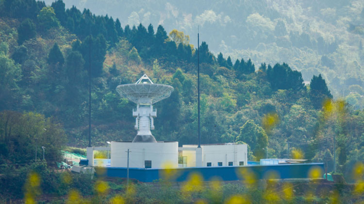 美妆博主称举报占用应急车道有高额奖励,真相究竟如何?